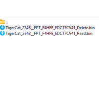 TigerCat 234B FPT F4HFE Delete
