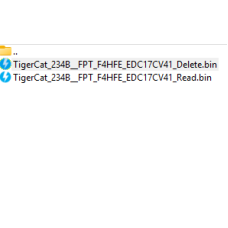 TigerCat 234B FPT F4HFE Delete